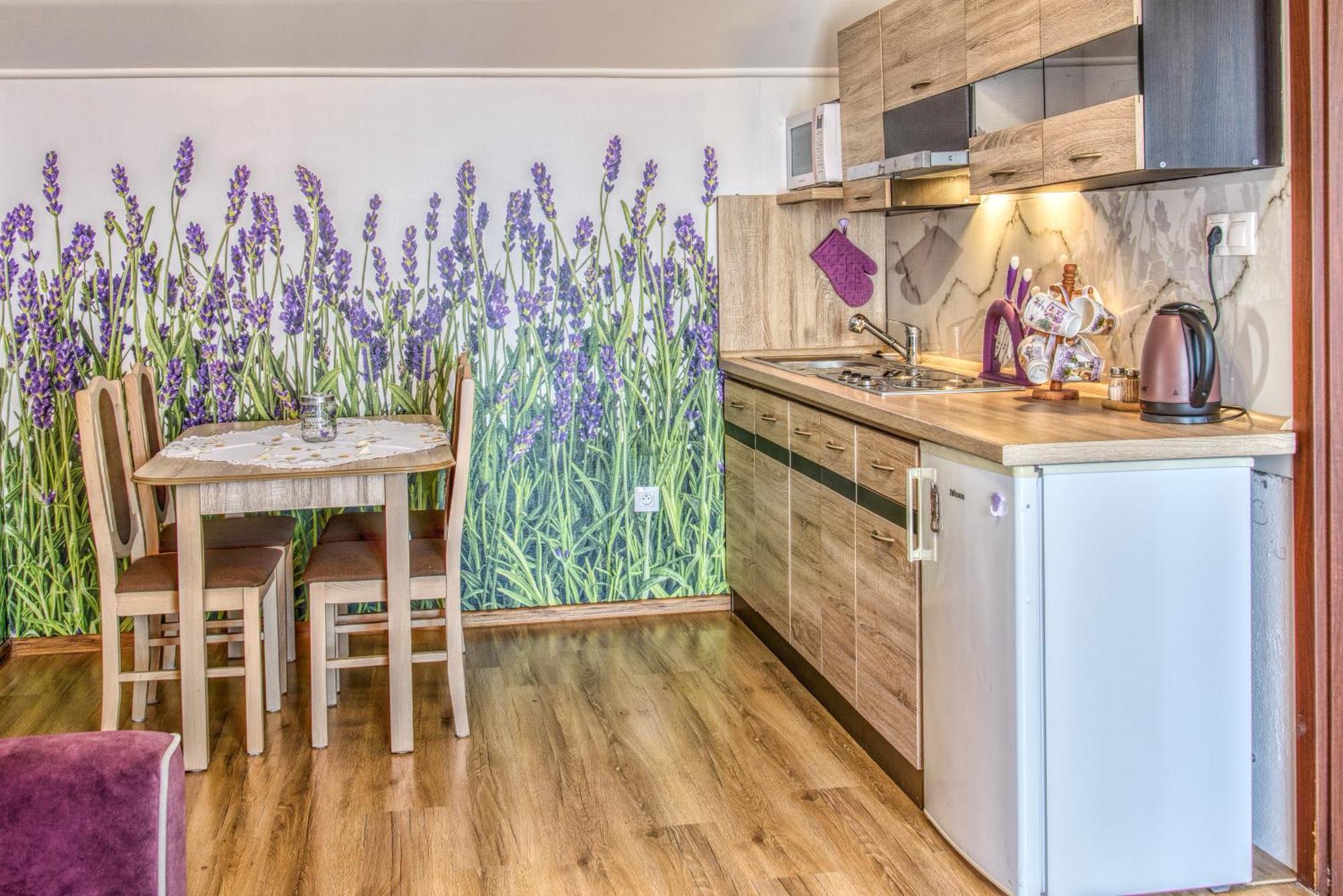 Vela Appartement Maly Slavkov Buitenkant foto